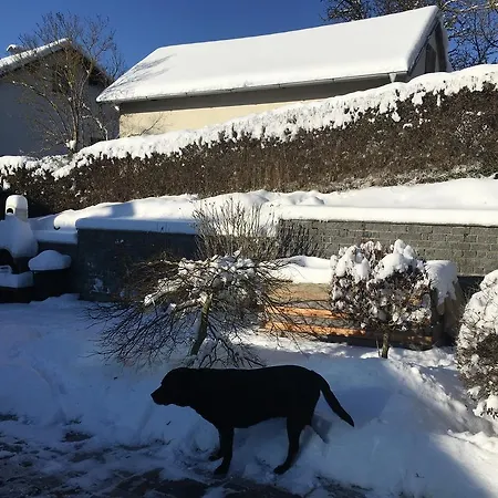 Studio Hofer Bad Zell