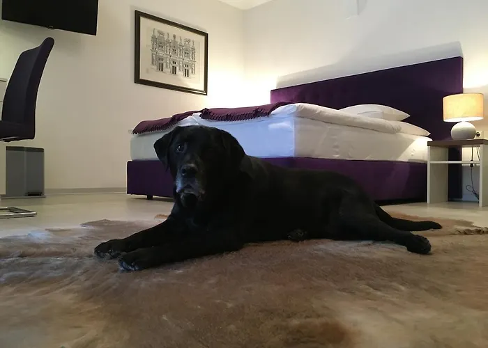 Διαμέρισμα Hofer Bad Zell